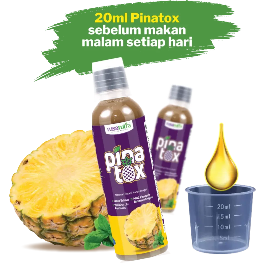 Cara Amalkan Pinatox - Turun Berat Badan - Pinatox Detox