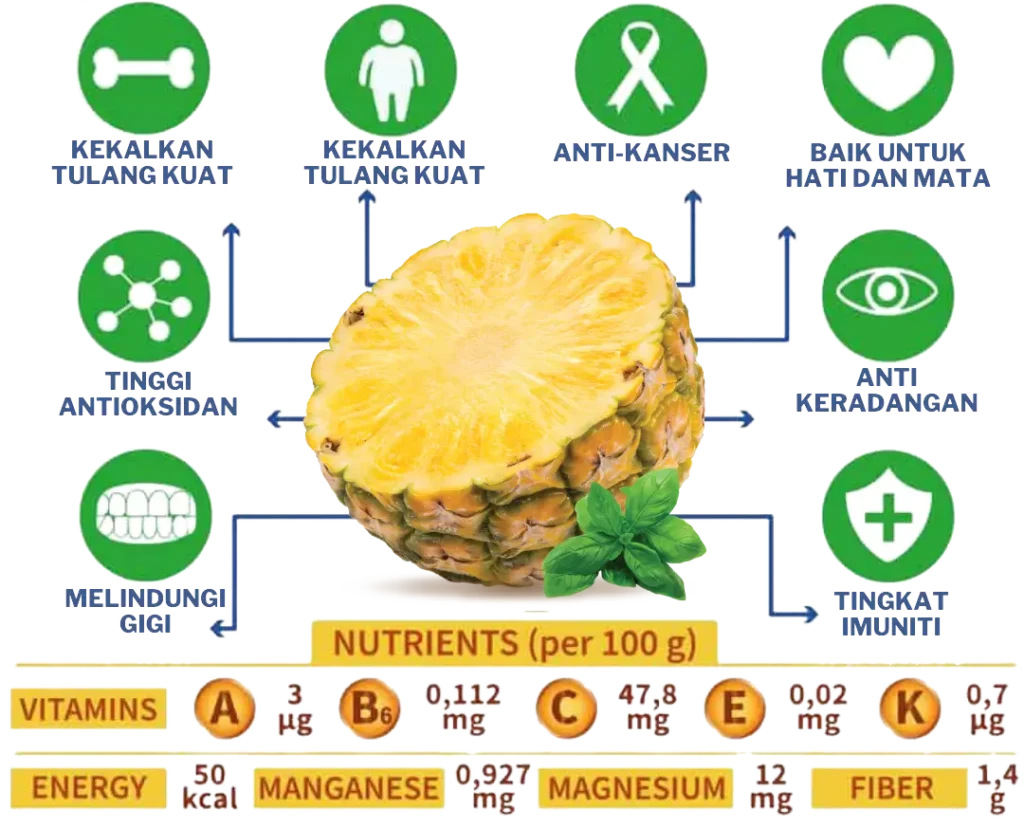 Gambar Kelebihan Pinatox - Turun Berat Badan - Pinatox Detox